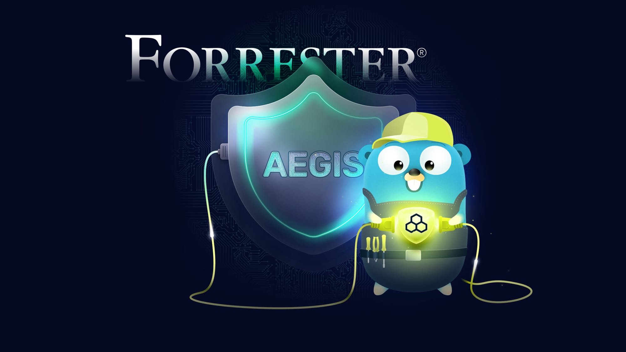 forrester-aegis-with-traefik-hub